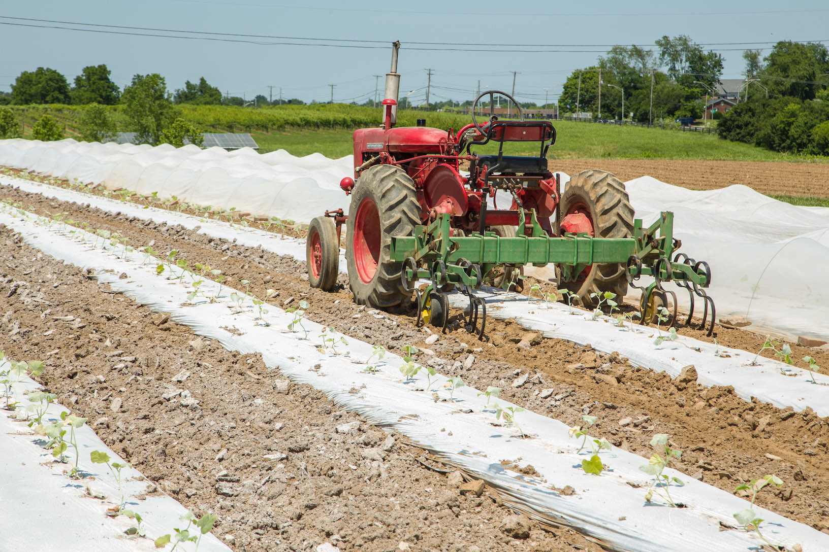 tractor spraying pesticide